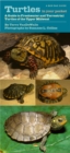 Image for Turtles in Your Pocket: A Guide to Freshwater and Terrestrial Turtles of the Upper Midwest