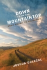 Image for Down from the mountaintop  : from belief to belonging
