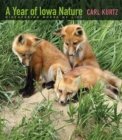 Image for A Year of Iowa Nature : Discovering Where We Live