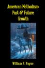 Image for American Methodism : Past and Future Growth