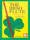 Image for Irish Flute