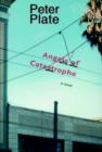 Image for Angels of catastrophe: a novel