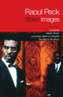 Image for Stolen images  : screenplays and writings