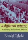 Image for A different mirror for young people  : a history of multicultural America