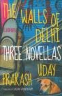 Image for The walls of Delhi  : three stories