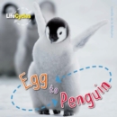 Image for Egg to Penguin