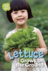 Image for Lettuce Grows on the Ground