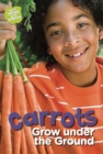 Image for Carrots Grow under the Ground