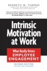 Image for Intrinsic Motivation at Work: What Really Drives Employee Engagement