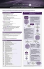Image for Pediatric Mental Health : Coding Quick Reference Card 2020