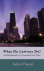 Image for What Do Lawyers Do?