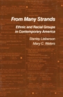 Image for From many strands: ethnic and racial groups in contemporary America