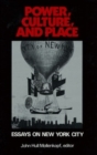 Image for Power, culture, and place: essays on New York City
