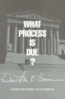 Image for What process is due?: courts and science-policy disputes