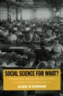 Image for Social science for what?: philanthropy and the social question in a world turned rightside up