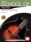 Image for School of Mandolin: Basic Chords and Soloing