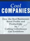 Image for Cool companies: how the best businesses boost profits and productivity by cutting greenhouse gas emissions