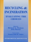 Image for Recycling and incineration: evaluating the choices