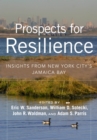 Image for Prospects for Resilience : Insights from New York City&#39;s Jamaica Bay