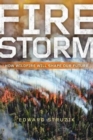Image for Firestorm