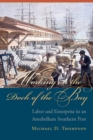 Image for Working on the dock of the bay: labor and enterprise in an antebellum Southern port