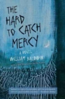 Image for The hard to catch mercy  : a novel