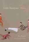 Image for Little Anodynes