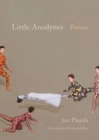 Image for Little Anodynes: Poems