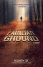 Image for Familiar ground  : a novel