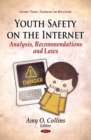 Image for Youth safety on the internet  : analysis, recommendations, and laws