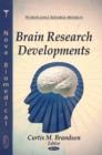 Image for Brain Research Developments