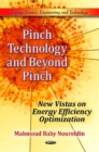 Image for Pinch Technology &amp; Beyond Pinch
