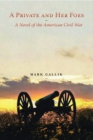 Image for Private and Her Foes: A Novel of the American Civil War