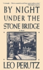 Image for By night under the stone bridge