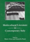 Image for Multicultural Literature in Contemporary Italy