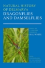 Image for Natural History of Delmarva Dragonflies and Damselflies