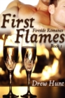Image for Fireside Romance Book 1: First Flames