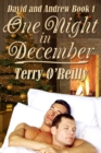 Image for David and Andrew Book 1: One Night in December