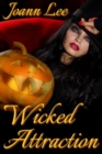 Image for Wicked Attraction
