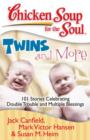 Image for Chicken Soup for the Soul: Twins and More: 101 Stories Celebrating Double Trouble and Multiple Blessings