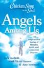 Image for Chicken Soup for the Soul: Angels Among Us: 101 Inspirational Stories of Miracles, Faith, and Answered Prayers
