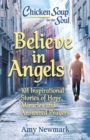 Image for Chicken Soup for the Soul: Believe in Angels: 101 Inspirational Stories of Hope, Miracles and Answered Prayers