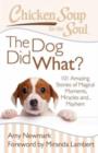 Image for Chicken Soup for the Soul: The Dog Did What?