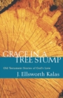 Image for Grace in a Tree Stump: Old Testament Stories of God&#39;s Love
