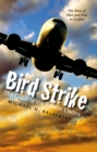 Image for Bird Strike: The Crash of the Boston Electra