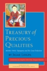Image for Treasury of precious qualitiesBook 2