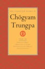 Image for The Collected Works of Choegyam Trungpa, Volume 10 : Work, Sex, Money - Mindfulness in Action - Devotion and Crazy Wisdom - Selected Writings