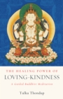 Image for The healing power of loving-kindness  : a guided Buddhist meditation