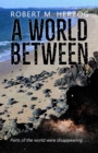 Image for A World Between