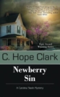 Image for Newberry Sin